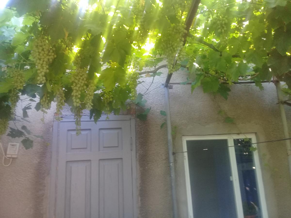 Guest House Gikacha Tbilisi Exterior foto